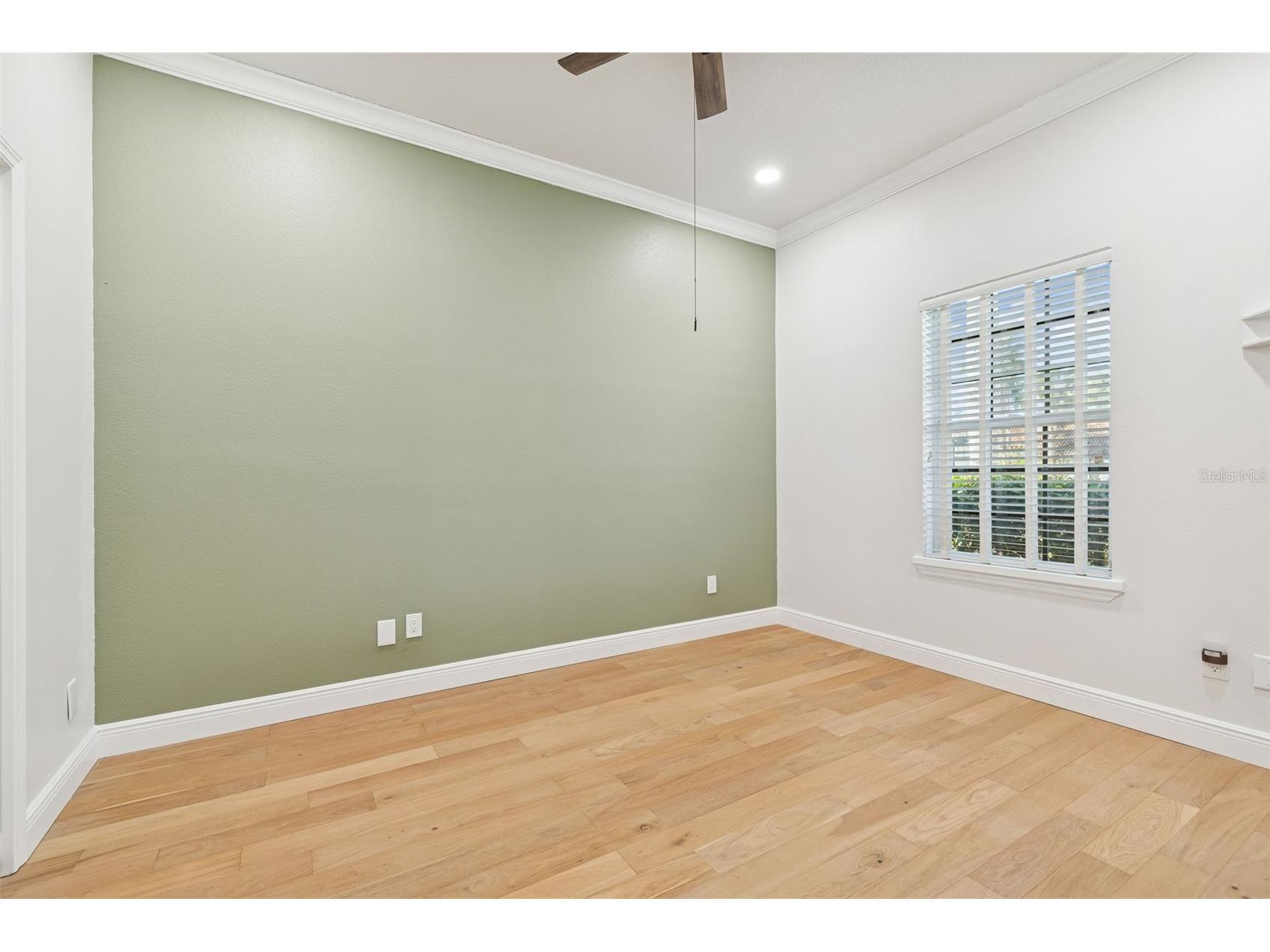 18909 Apian Way Lutz FL 33558 TB8472125 image30