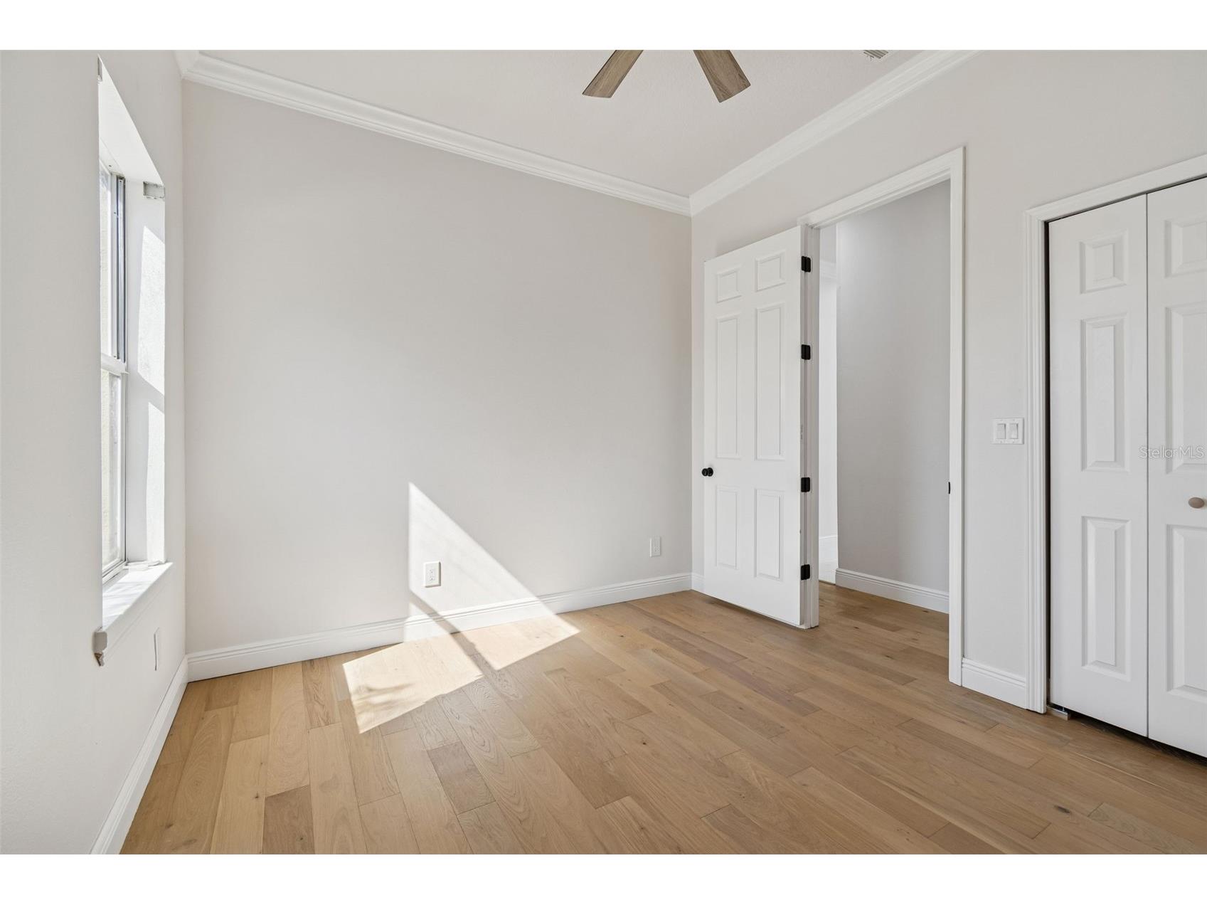 18909 Apian Way Lutz FL 33558 TB8472125 image31