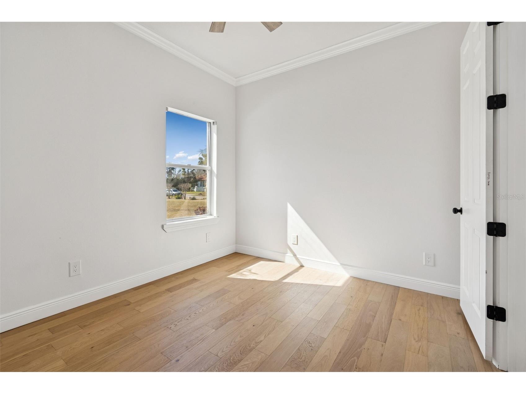 18909 Apian Way Lutz FL 33558 TB8472125 image32
