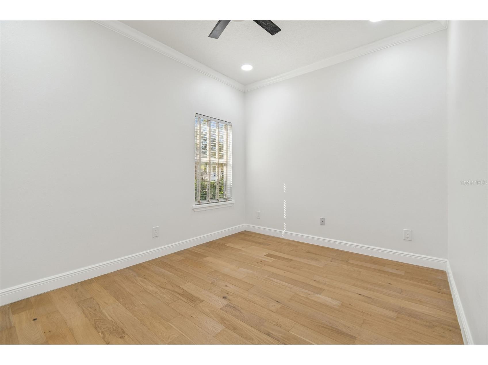 18909 Apian Way Lutz FL 33558 TB8472125 image37