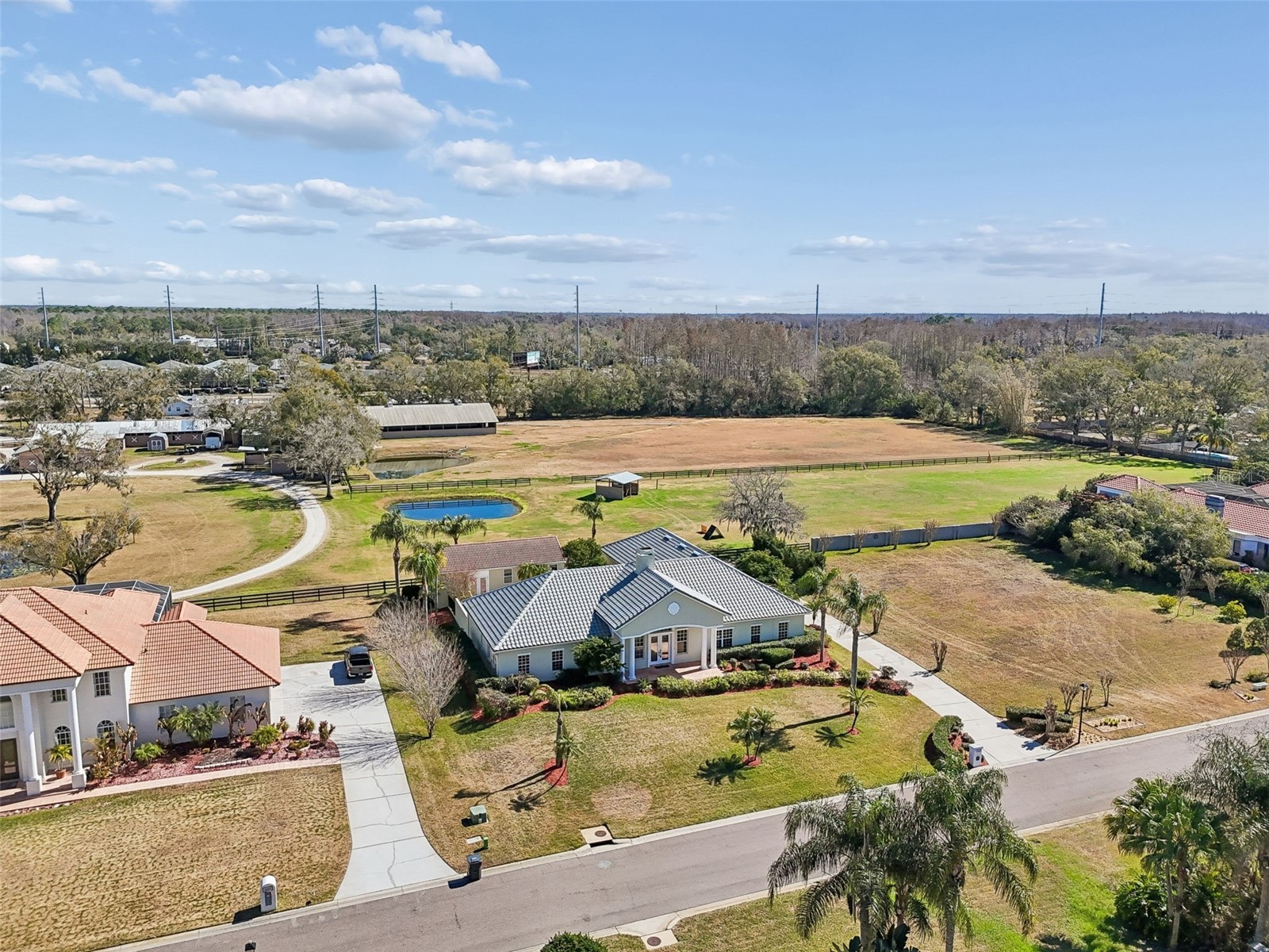18909 Apian Way Lutz FL 33558 TB8472125 image65
