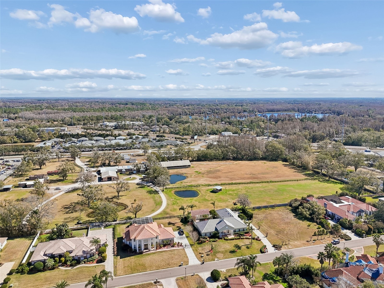 18909 Apian Way Lutz FL 33558 TB8472125 image66
