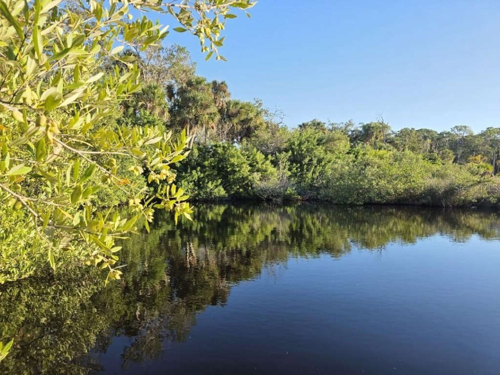 18909 Aripeka Road Hudson FL 34667 TB8447217 image3