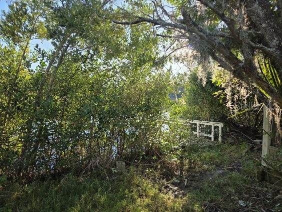 18909 Aripeka Road Hudson FL 34667 TB8447217 image5