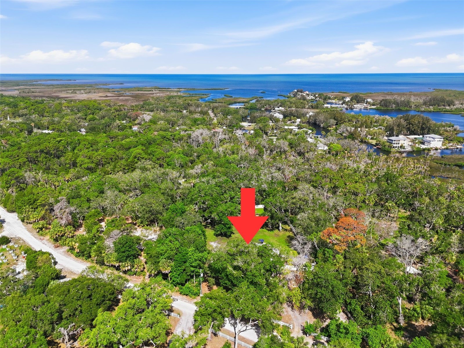 18909 Jebert Drive Aripeka FL 34679 TB8517024 image36