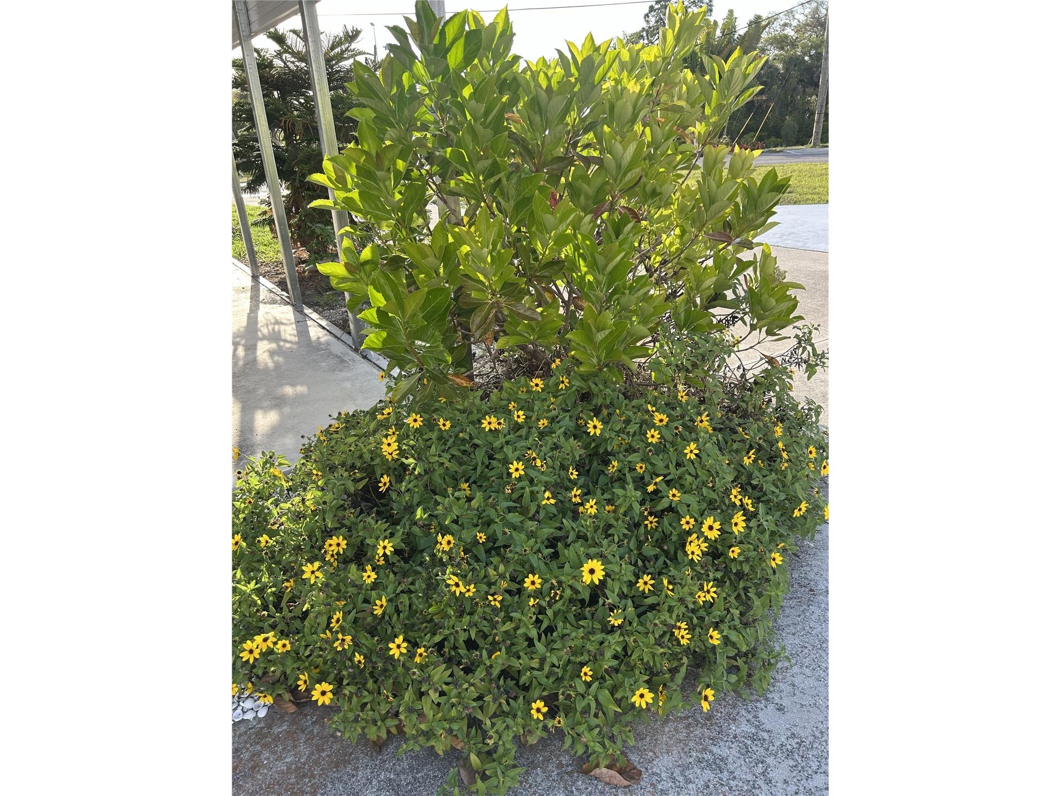 1891 Englewood Road #45 Englewood FL 34223 C7516918 image53