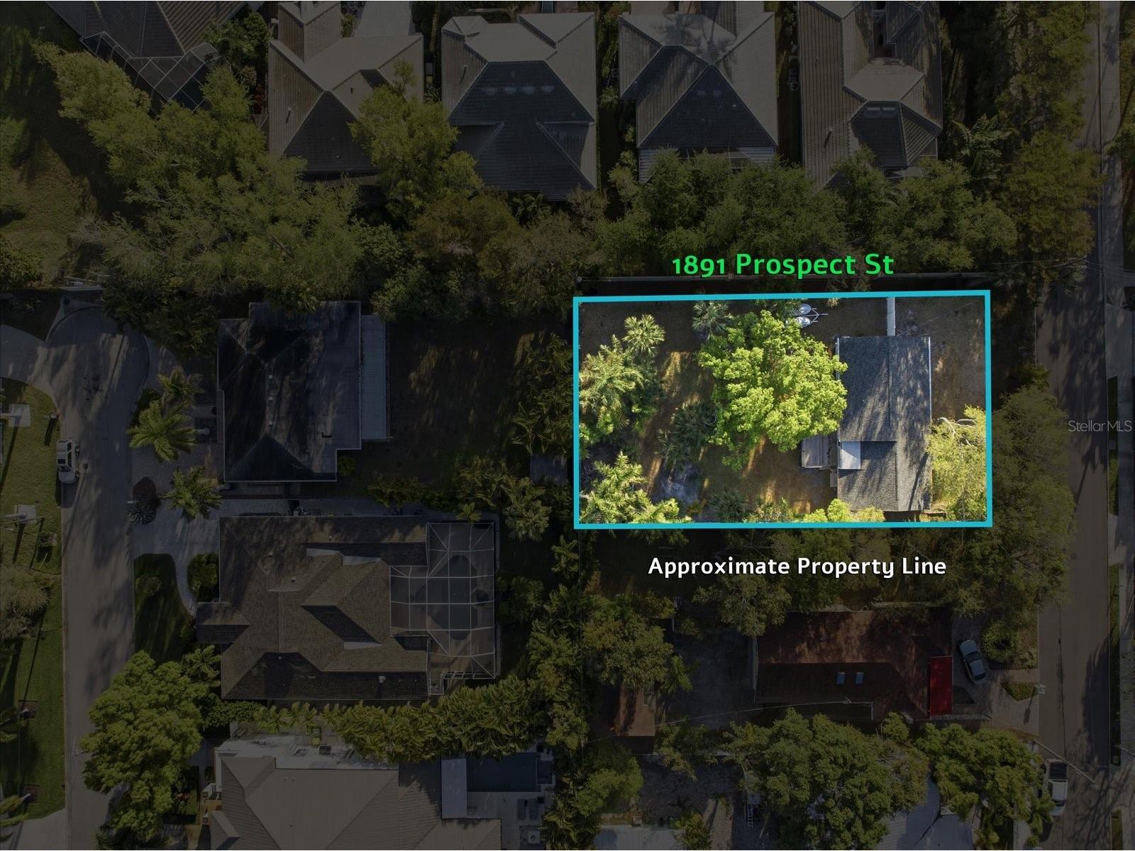 1891 Prospect Street Sarasota FL 34239 A4686454 image3