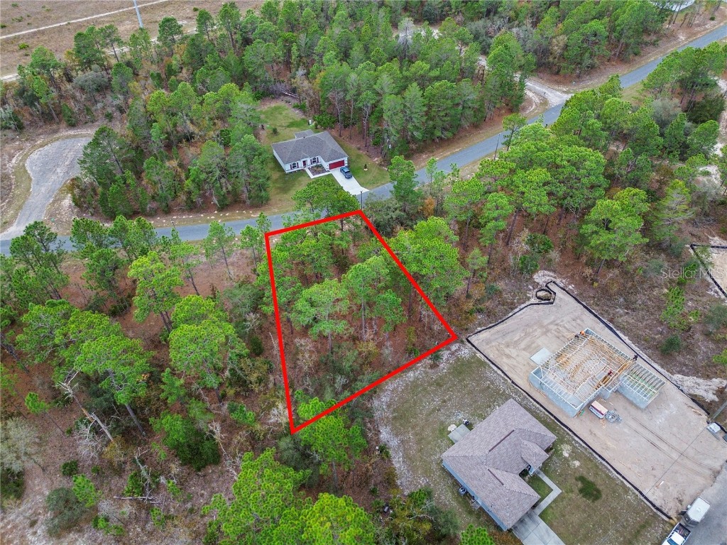 1891 W Riley Drive Dunnellon FL 34434 OM714672 image1