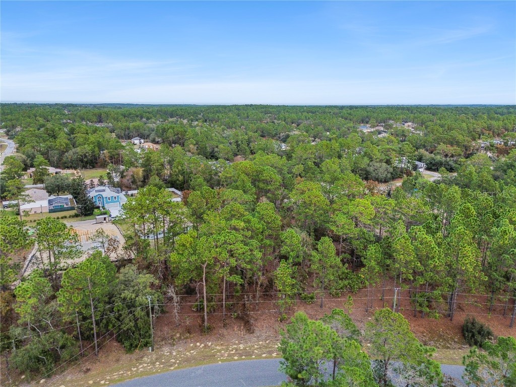 1891 W Riley Drive Dunnellon FL 34434 OM714672 image5