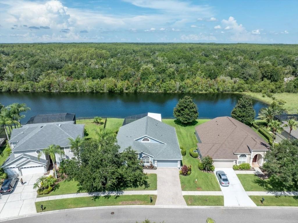 18910 Chaville Road Lutz FL 33558 T3546373 image1