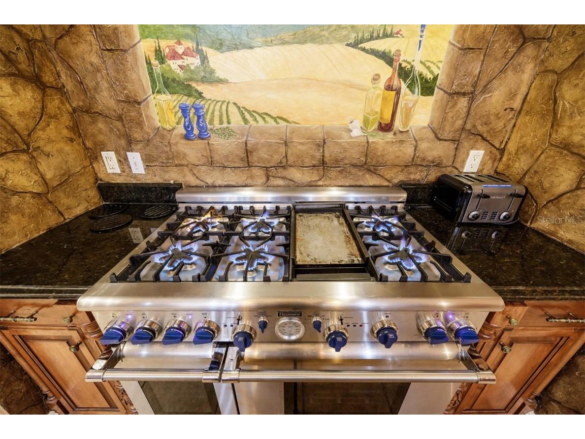 18910 NW 78th Avenue Alachua FL 32615 - MEDITATION POND GC536219 image13