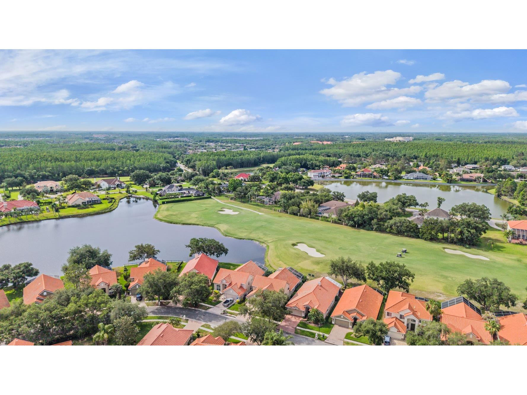18911 Avenue Biarritz Lutz FL 33558 TB8504508 image5