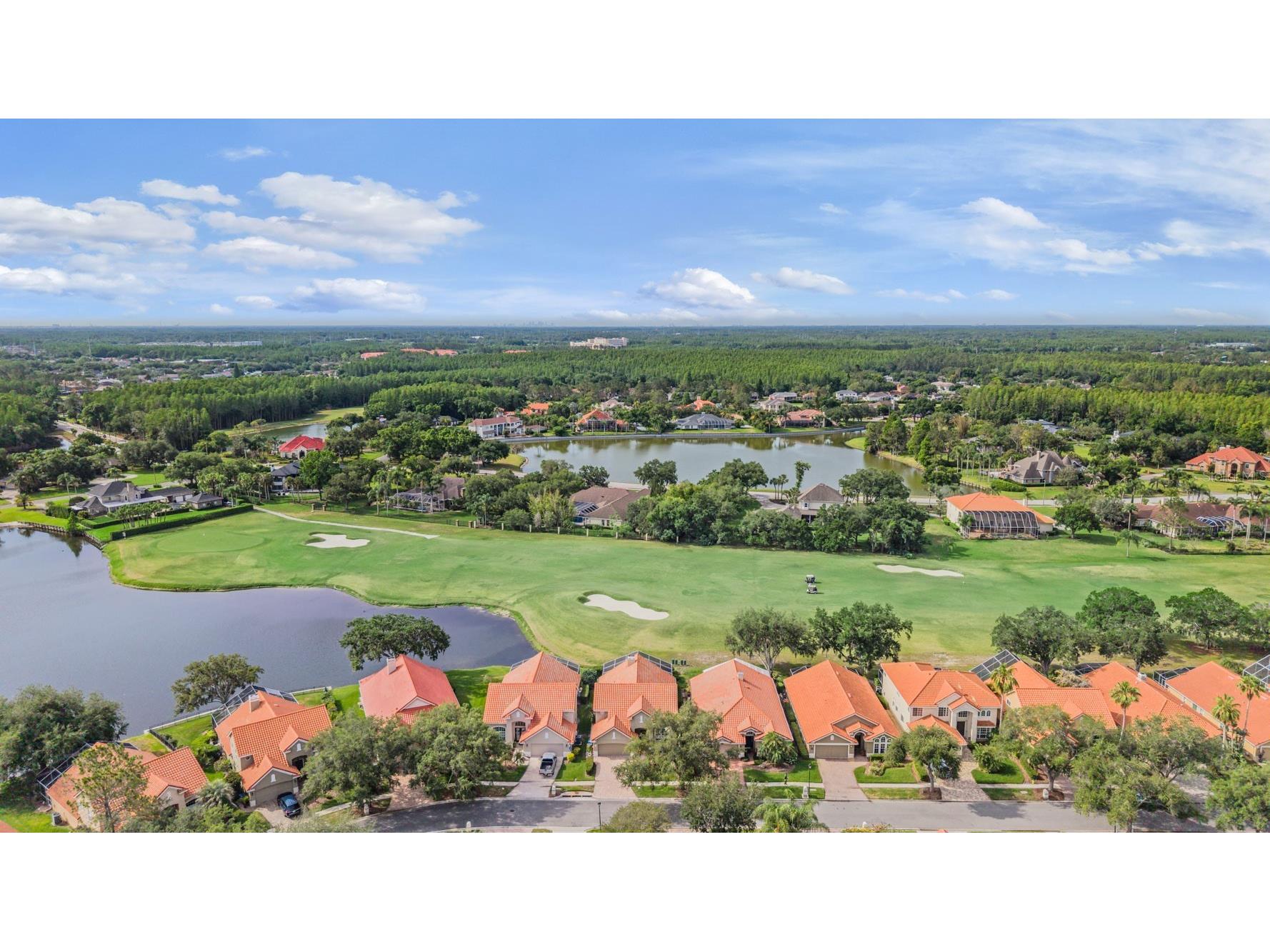 18911 Avenue Biarritz Lutz FL 33558 TB8504508 image6