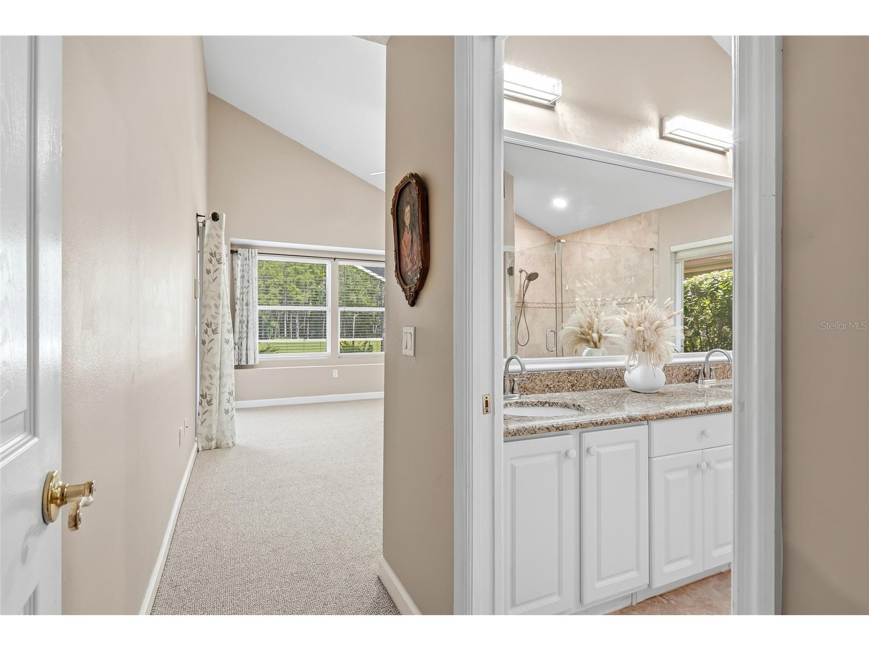 18912 Place Marquette Lutz FL 33558 TB8532443 image29