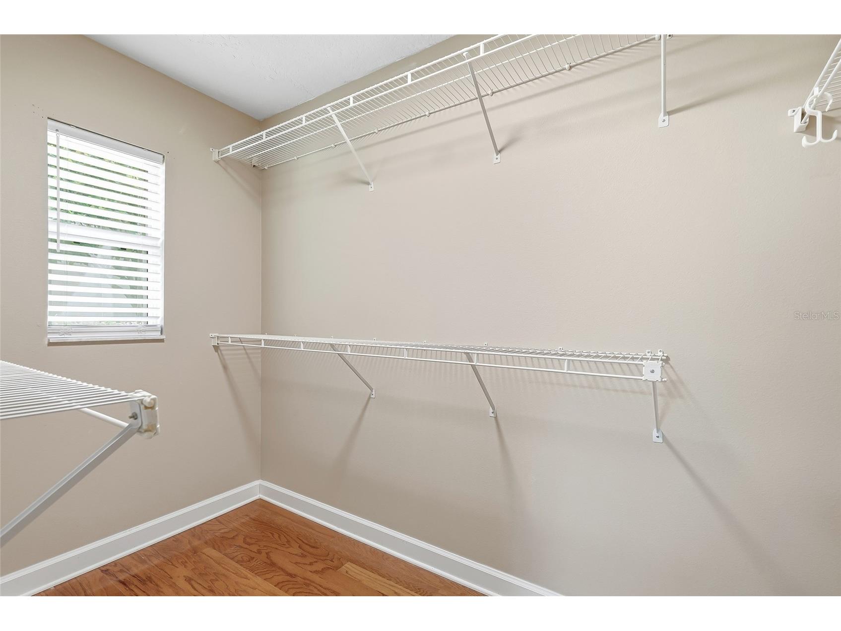 18912 Place Marquette Lutz FL 33558 TB8532443 image37