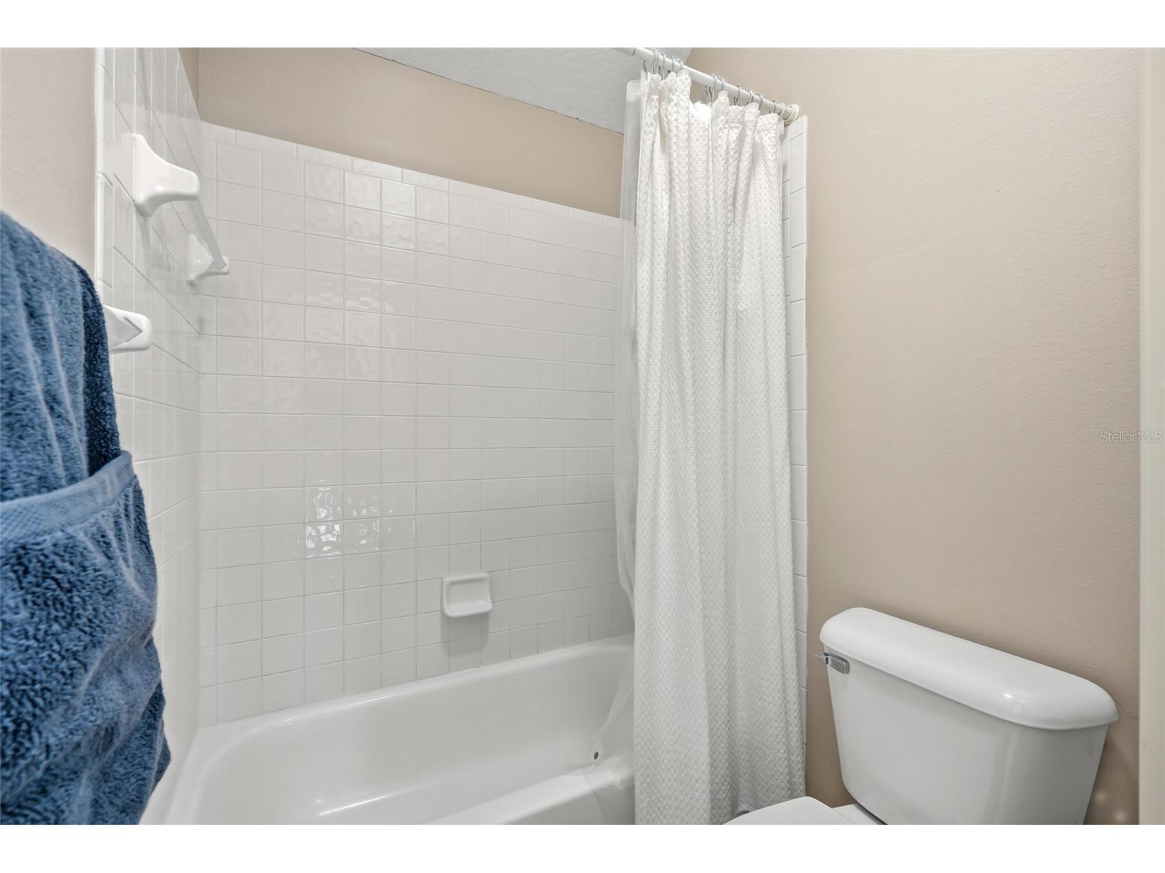 18912 Place Marquette Lutz FL 33558 TB8532443 image48