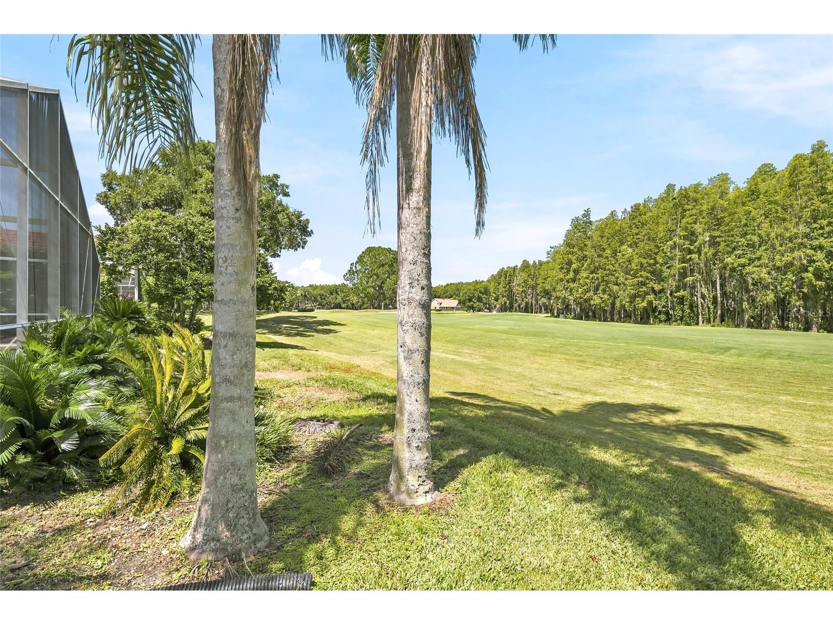 18912 Place Marquette Lutz FL 33558 TB8532443 image58