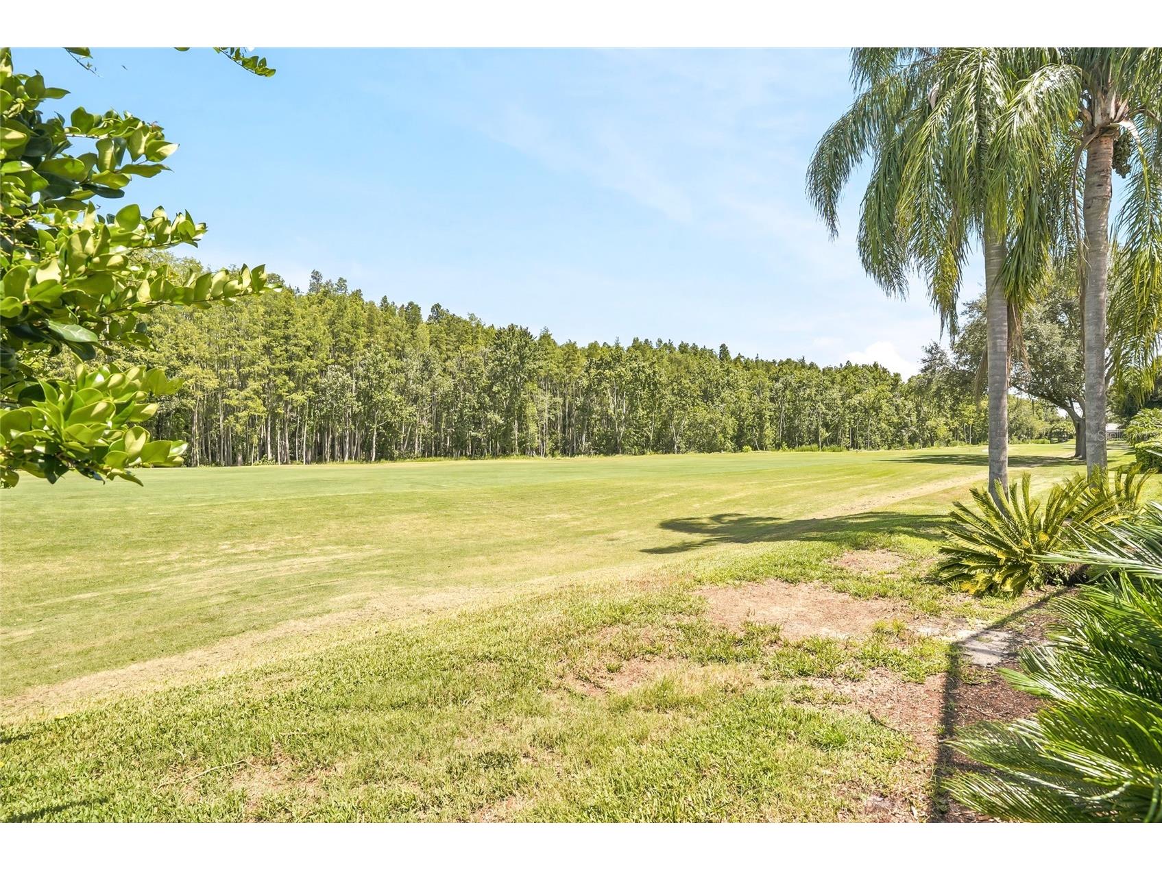 18912 Place Marquette Lutz FL 33558 TB8532443 image60