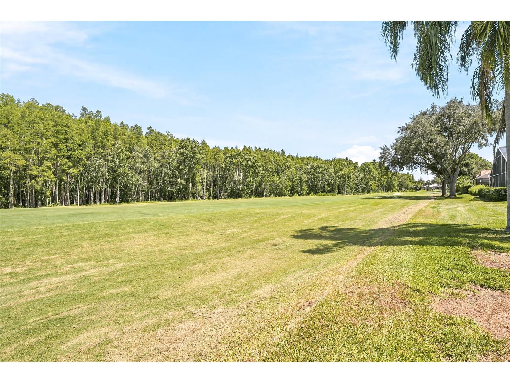 18912 Place Marquette Lutz FL 33558 TB8532443 image61