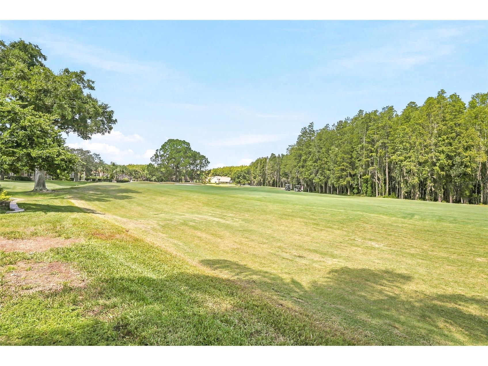 18912 Place Marquette Lutz FL 33558 TB8532443 image62