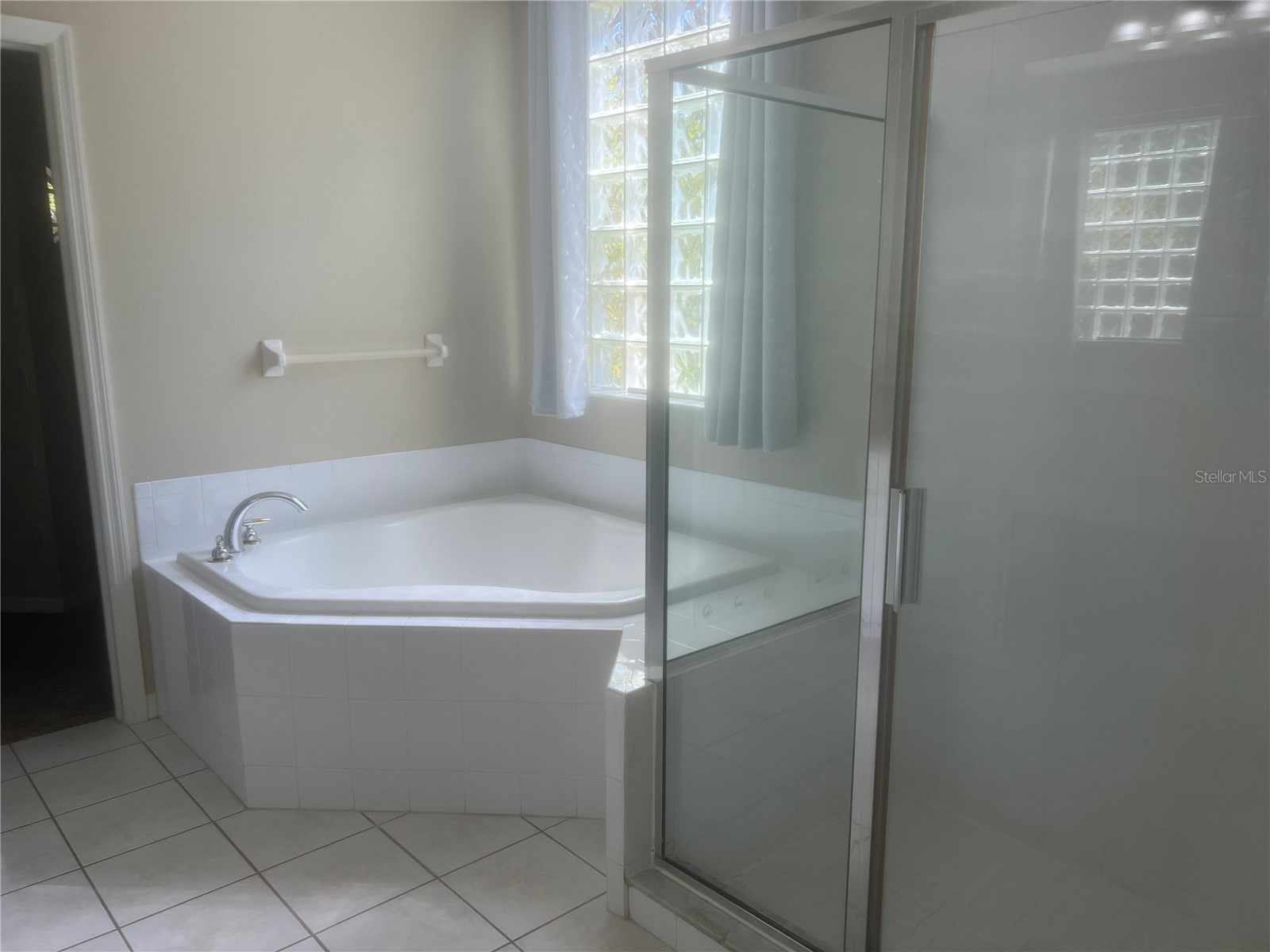 18914 Maisons Drive Lutz FL 33558 TB8493957 image25