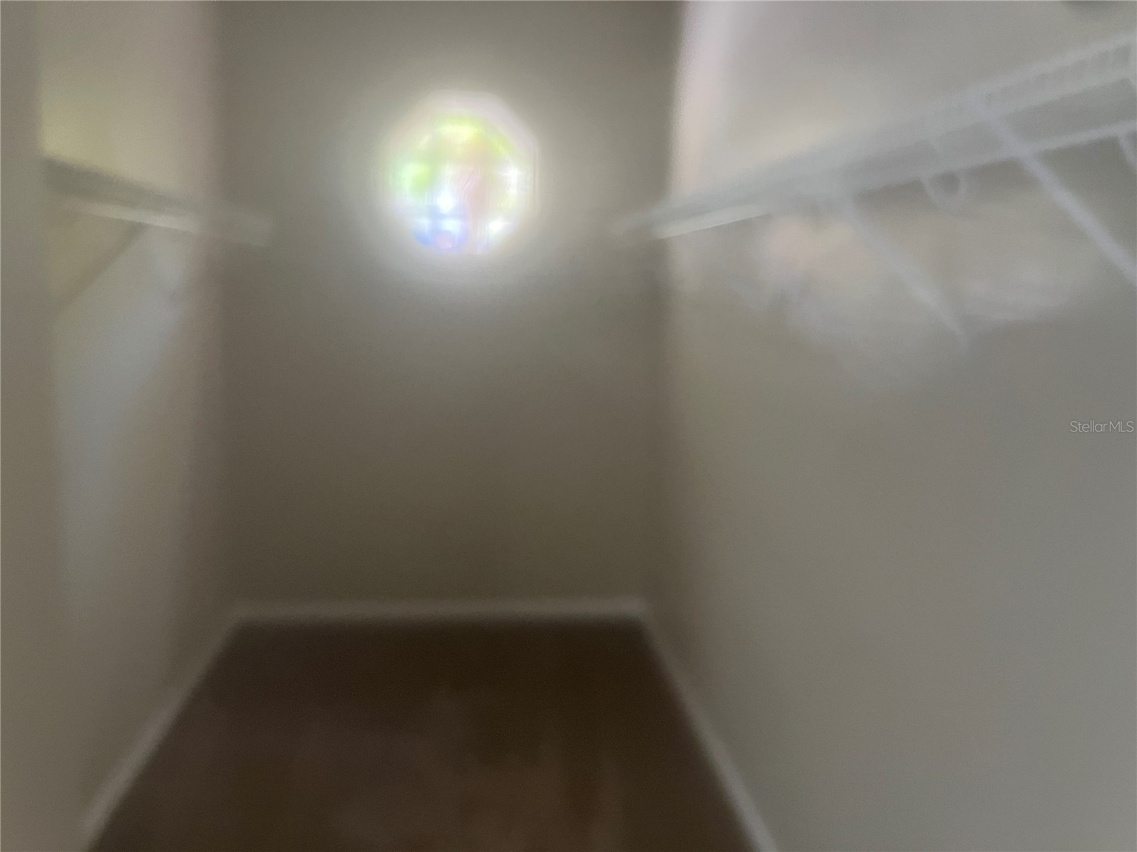 18914 Maisons Drive Lutz FL 33558 TB8493957 image28