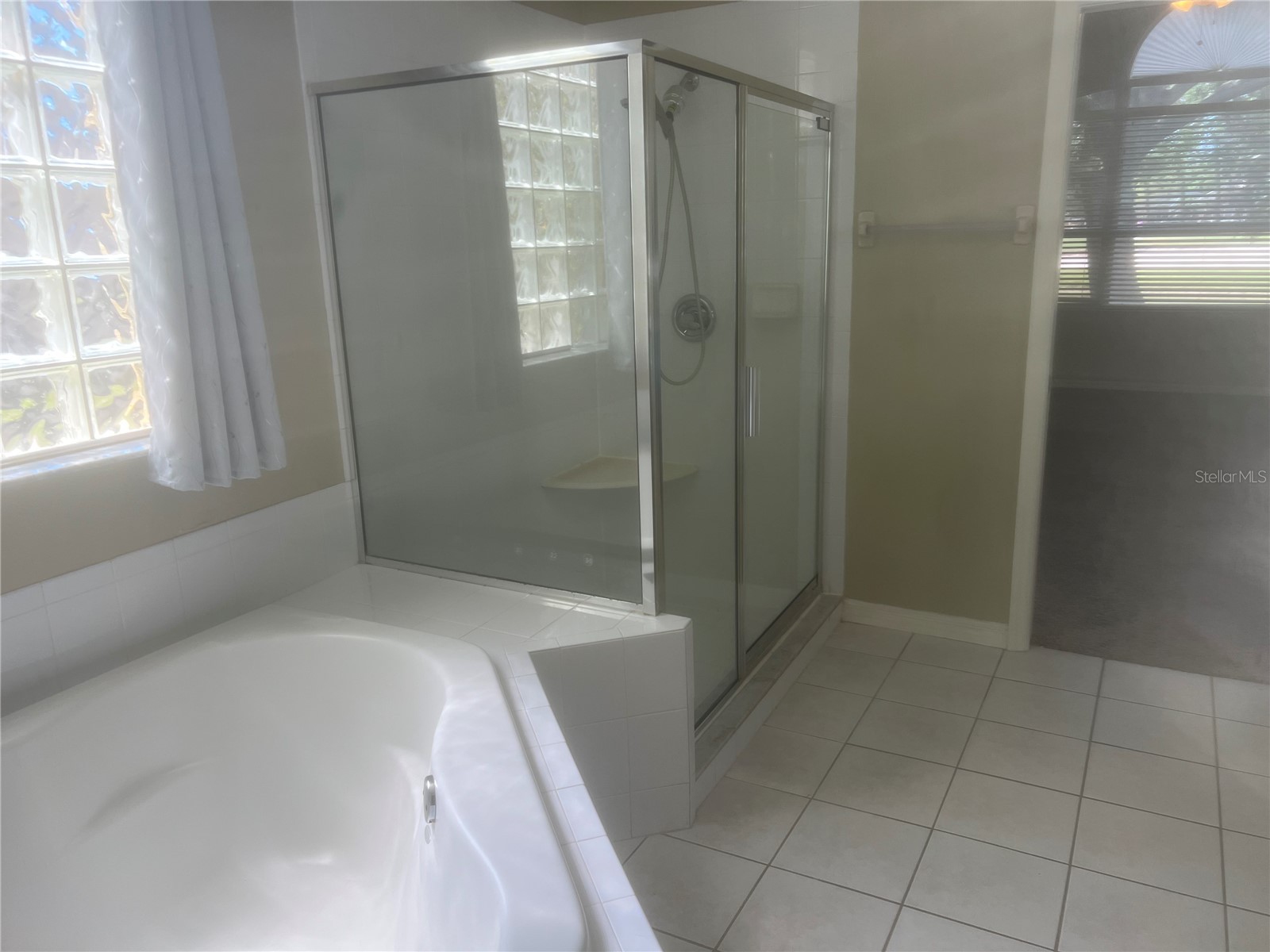18914 Maisons Drive Lutz FL 33558 TB8493957 image29