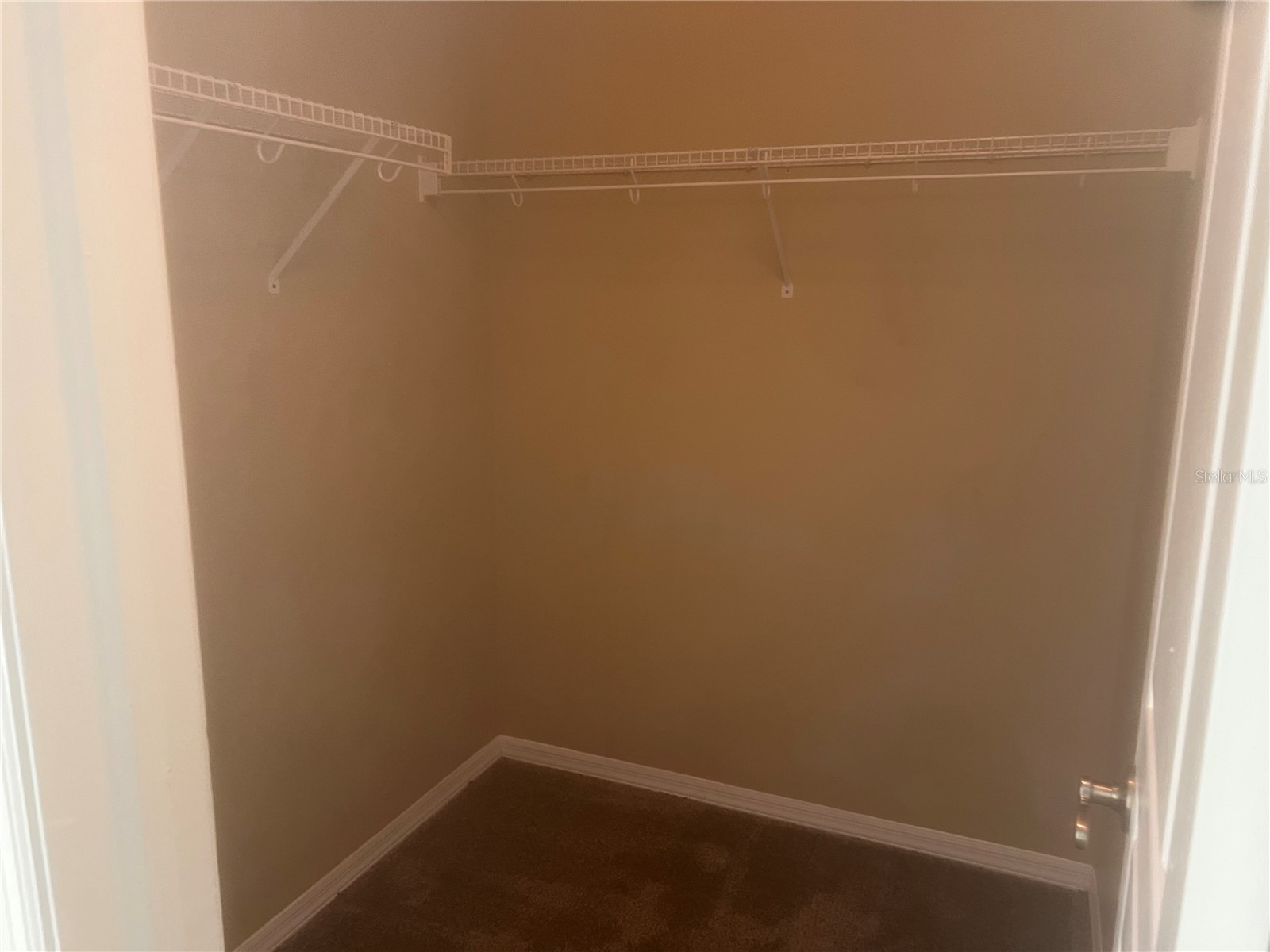 18914 Maisons Drive Lutz FL 33558 TB8493957 image33