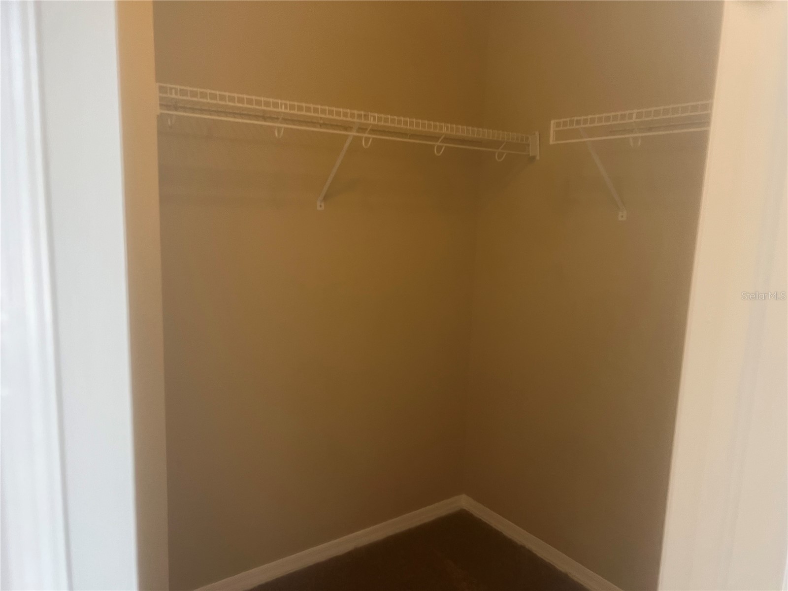 18914 Maisons Drive Lutz FL 33558 TB8493957 image36