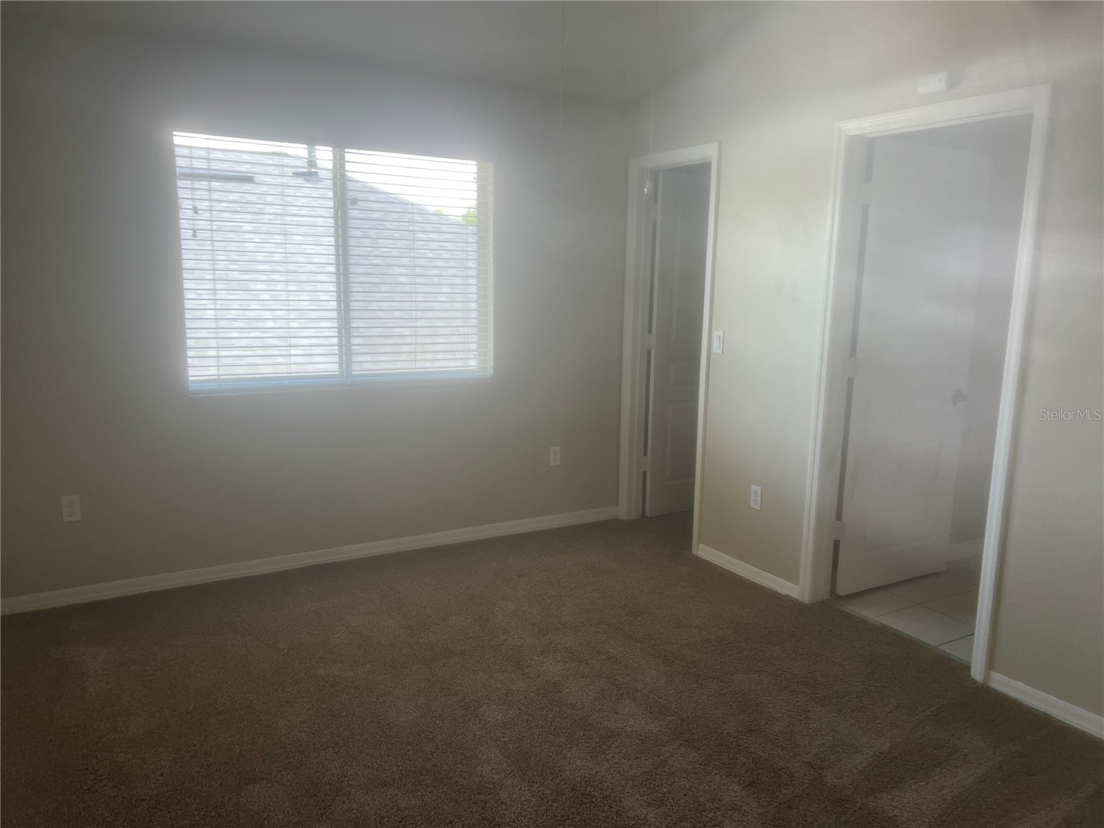 18914 Maisons Drive Lutz FL 33558 TB8493957 image37