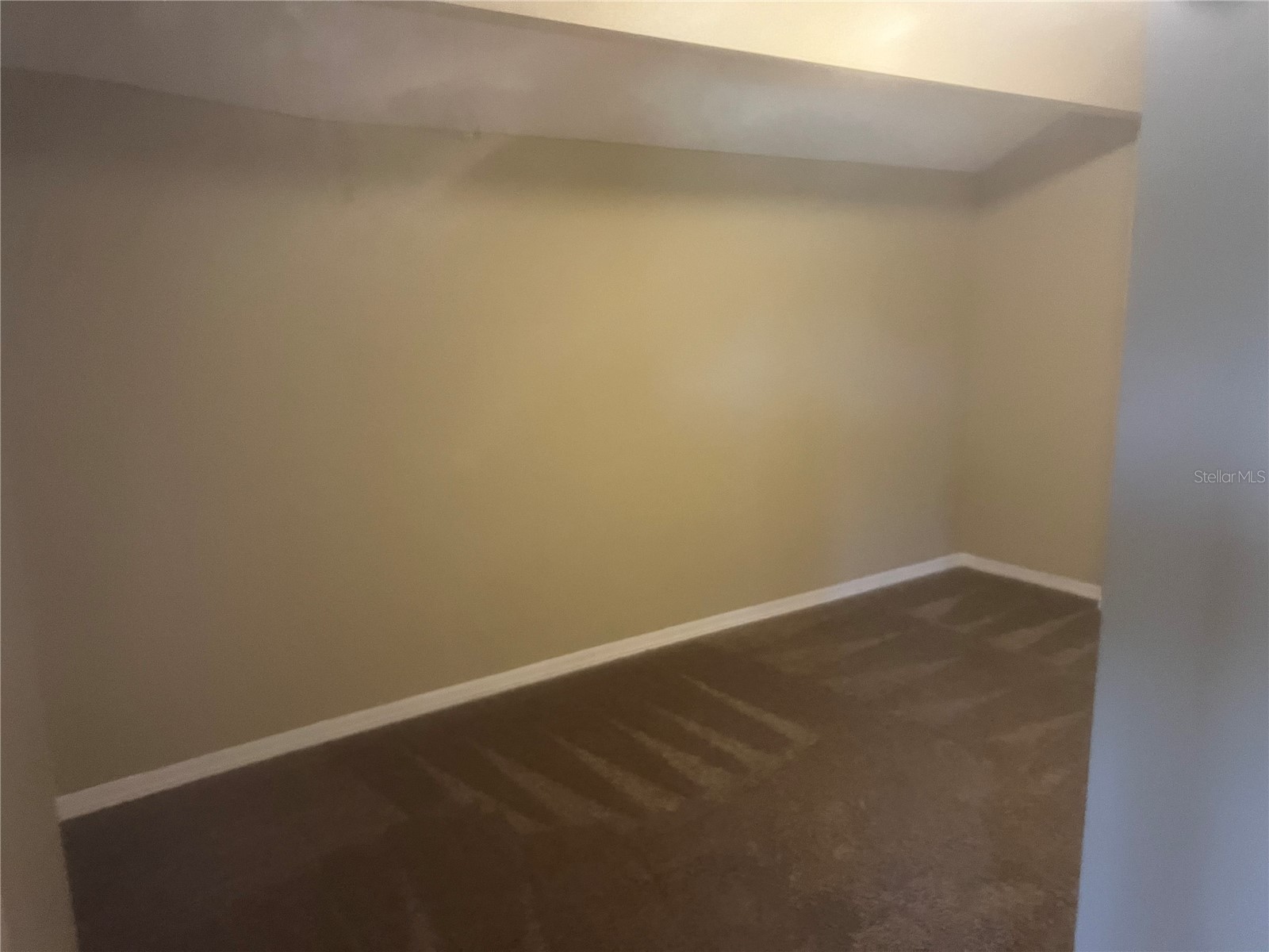 18914 Maisons Drive Lutz FL 33558 TB8493957 image40
