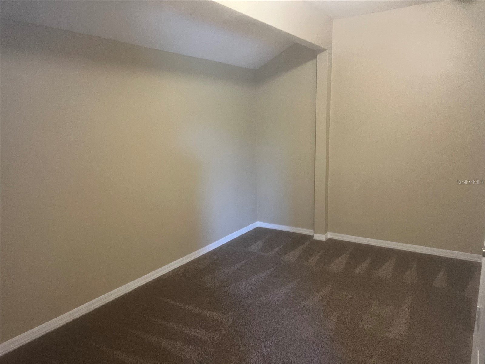 18914 Maisons Drive Lutz FL 33558 TB8493957 image41