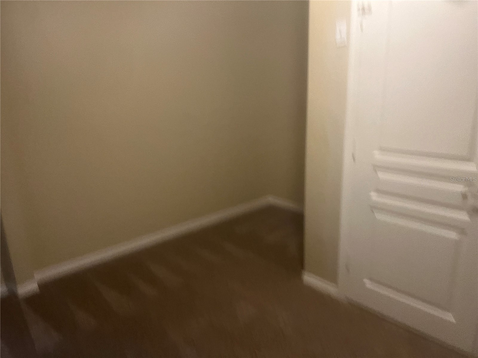 18914 Maisons Drive Lutz FL 33558 TB8493957 image42