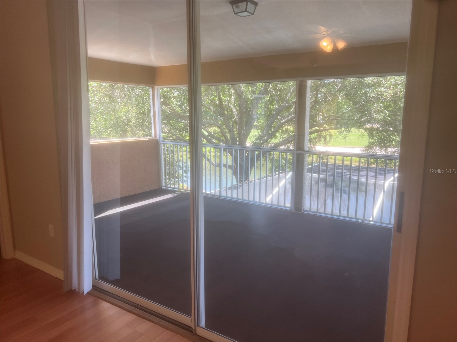 18914 Maisons Drive Lutz FL 33558 TB8493957 image47