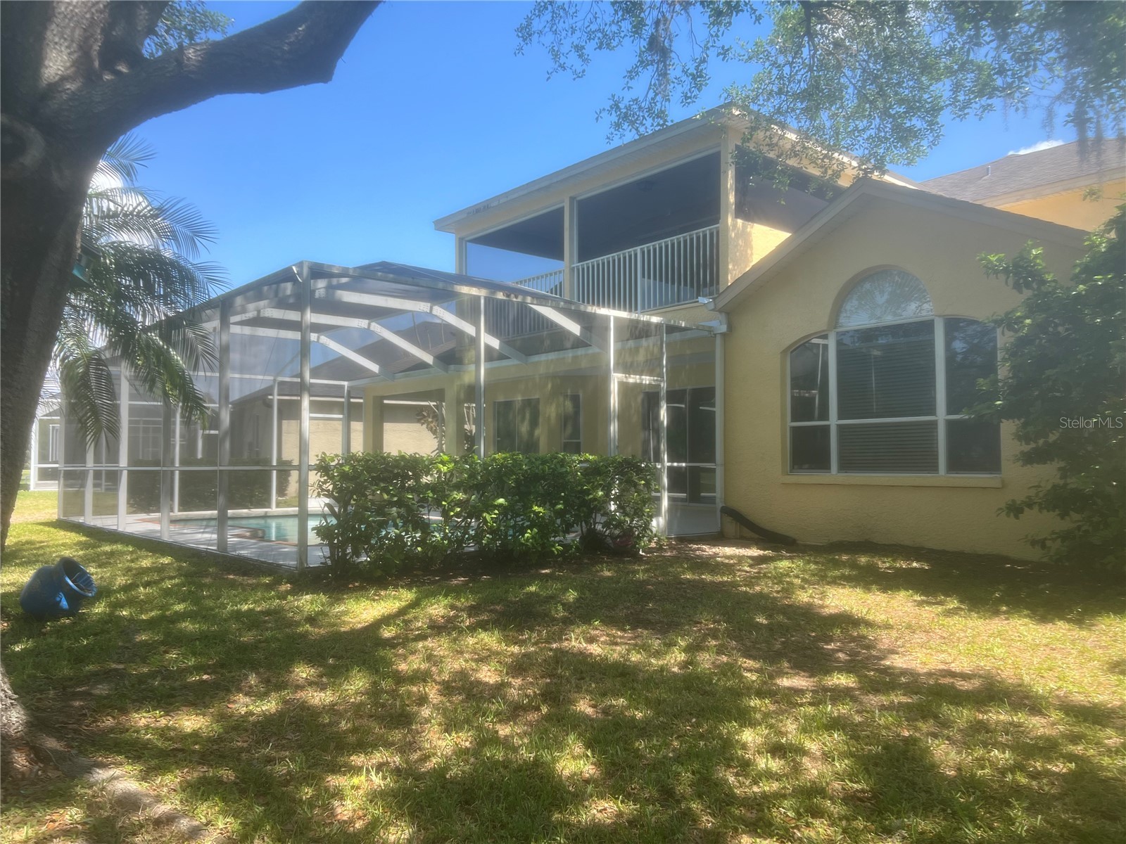 18914 Maisons Drive Lutz FL 33558 TB8493957 image6