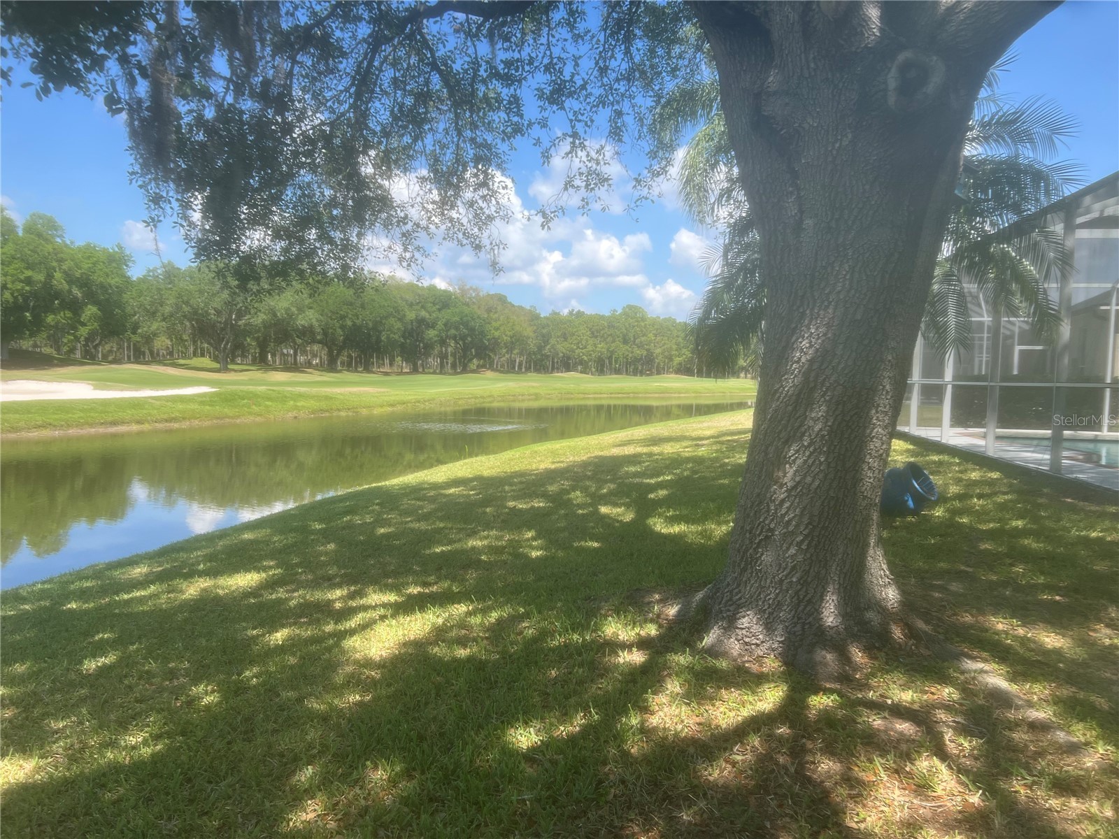 18914 Maisons Drive Lutz FL 33558 TB8493957 image7