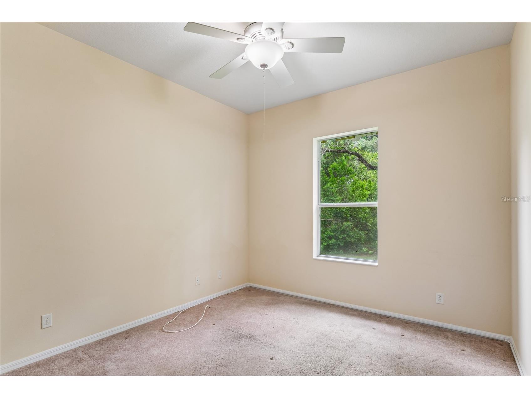 18915 Bascomb Lane Hudson FL 34667 W7886491 image40