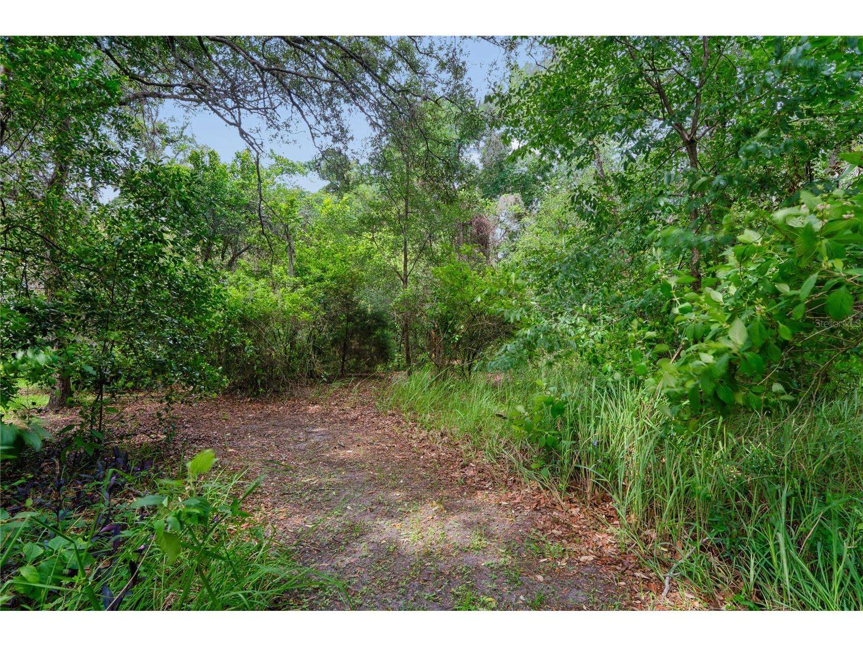 18915 Bascomb Lane Hudson FL 34667 W7886491 image52