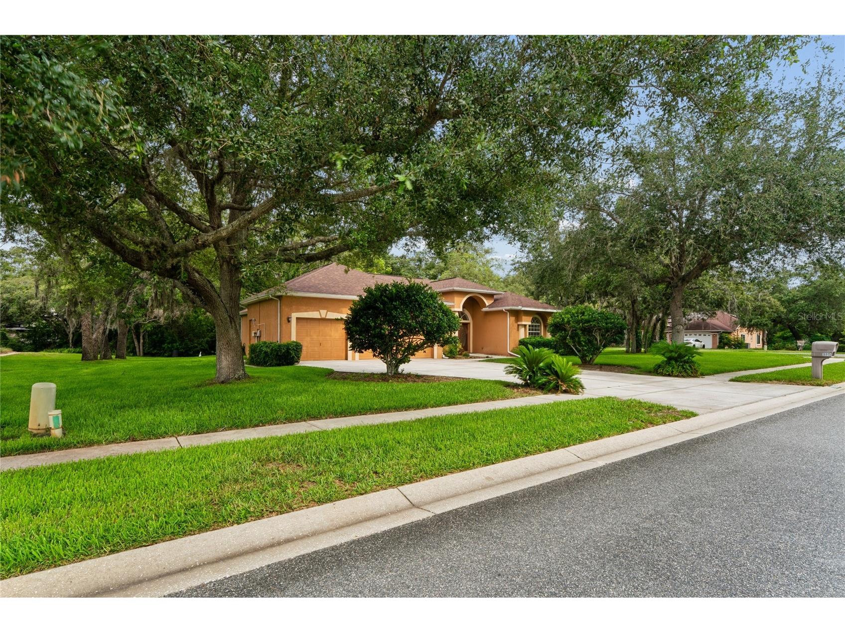 18915 Bascomb Lane Hudson FL 34667 W7886491 image60