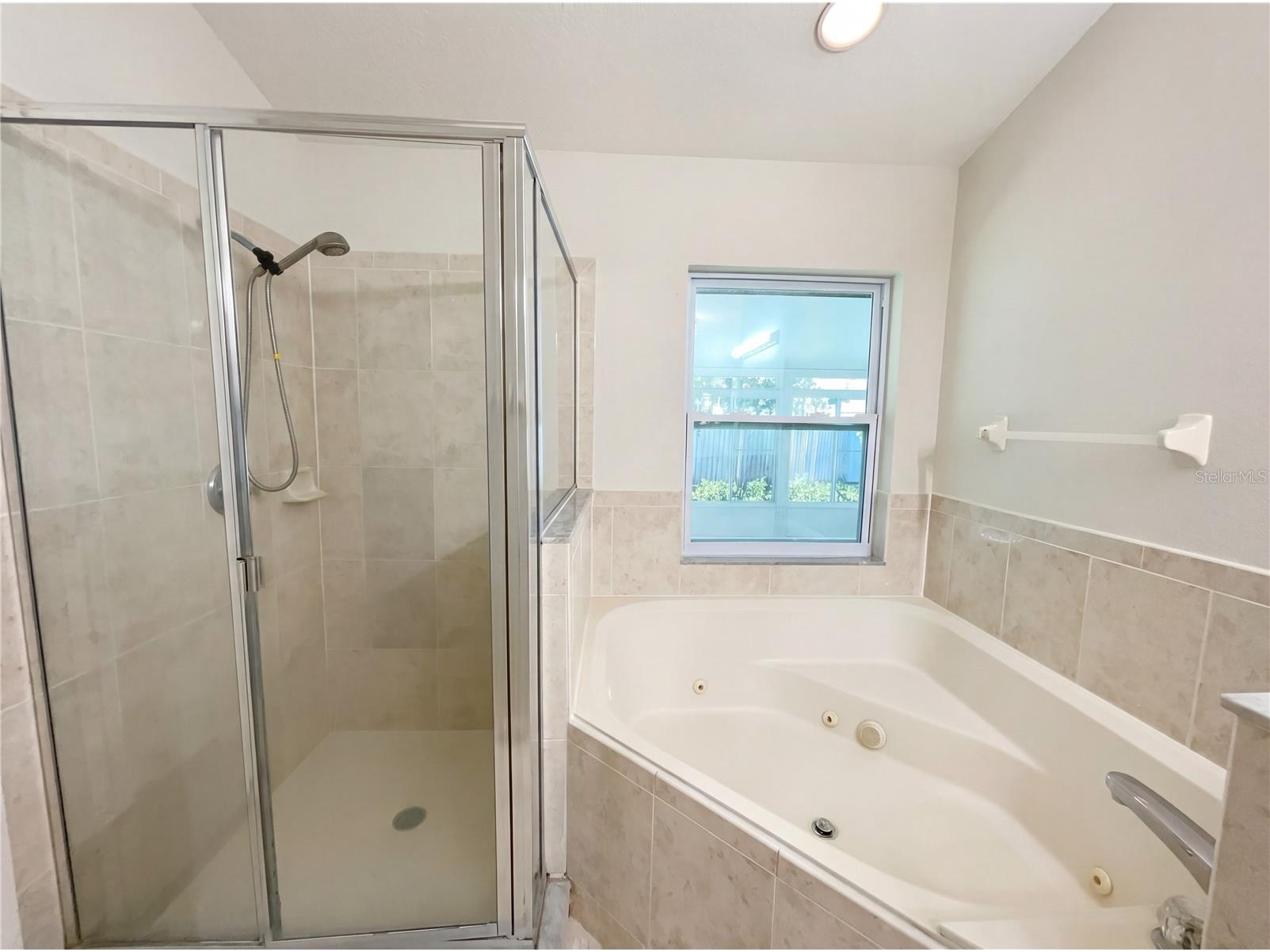 18915 Nest Fern Circle Tampa FL 33647 O6376965 image22