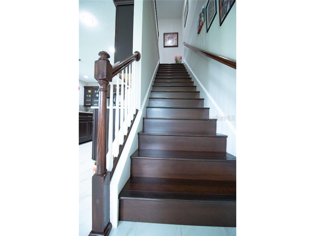 18916 Beautyberry Ct Lutz FL 33558 TB8439109 image9