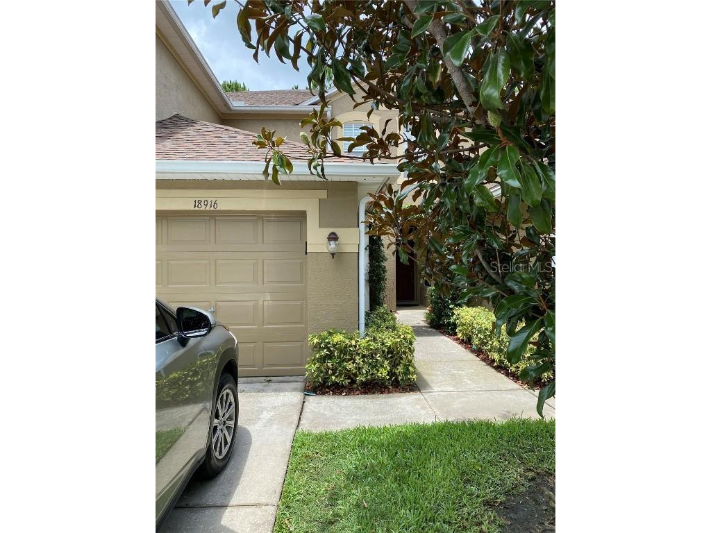 18916 Duquesne Drive Tampa FL 33647 T3494568 image1