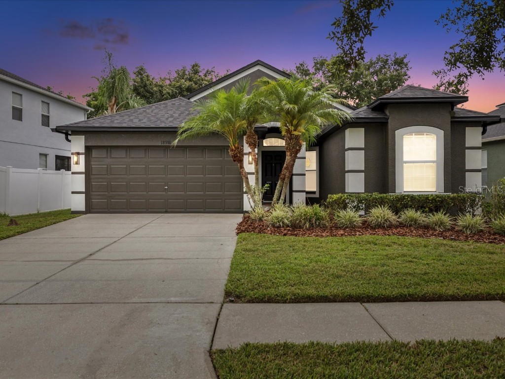 18916 New Passage Boulevard Land O Lakes FL 34638 W7876143 image1