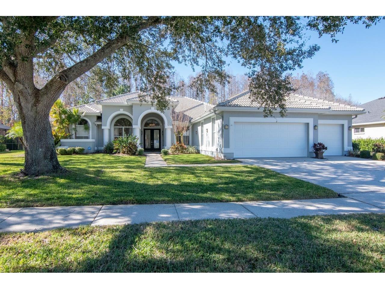 18916 Saint Laurent Drive Lutz FL 33558 TB8465089 image1