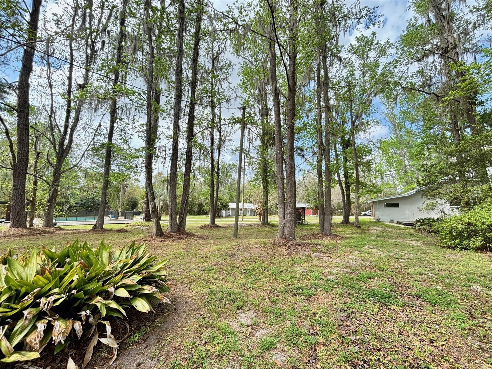 18917 NW County Road 239 Alachua FL 32615 GC538959 image5