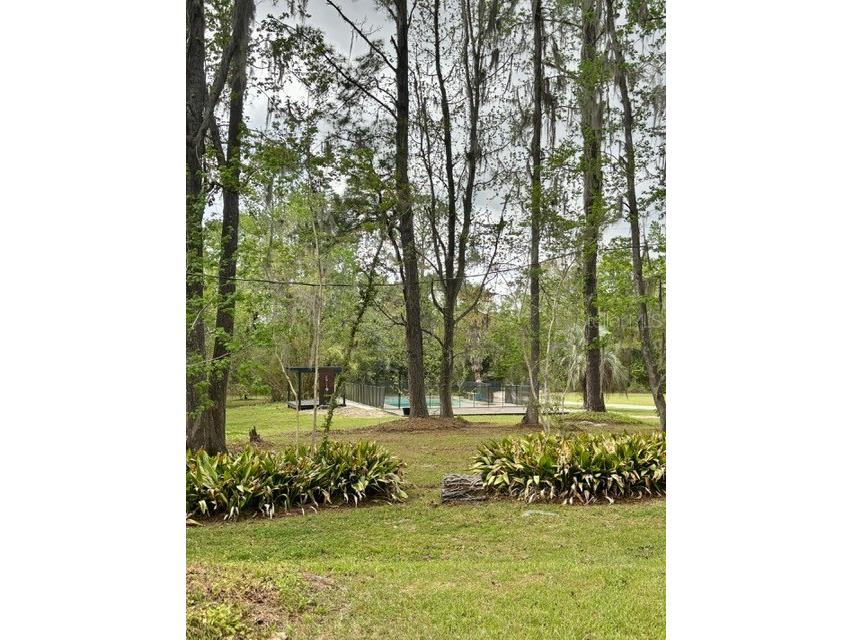 18917 NW County Road 239 Alachua FL 32615 GC538959 image50