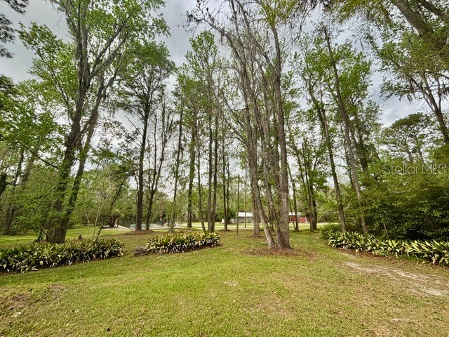 18917 NW County Road 239 Alachua FL 32615 GC538959 image52