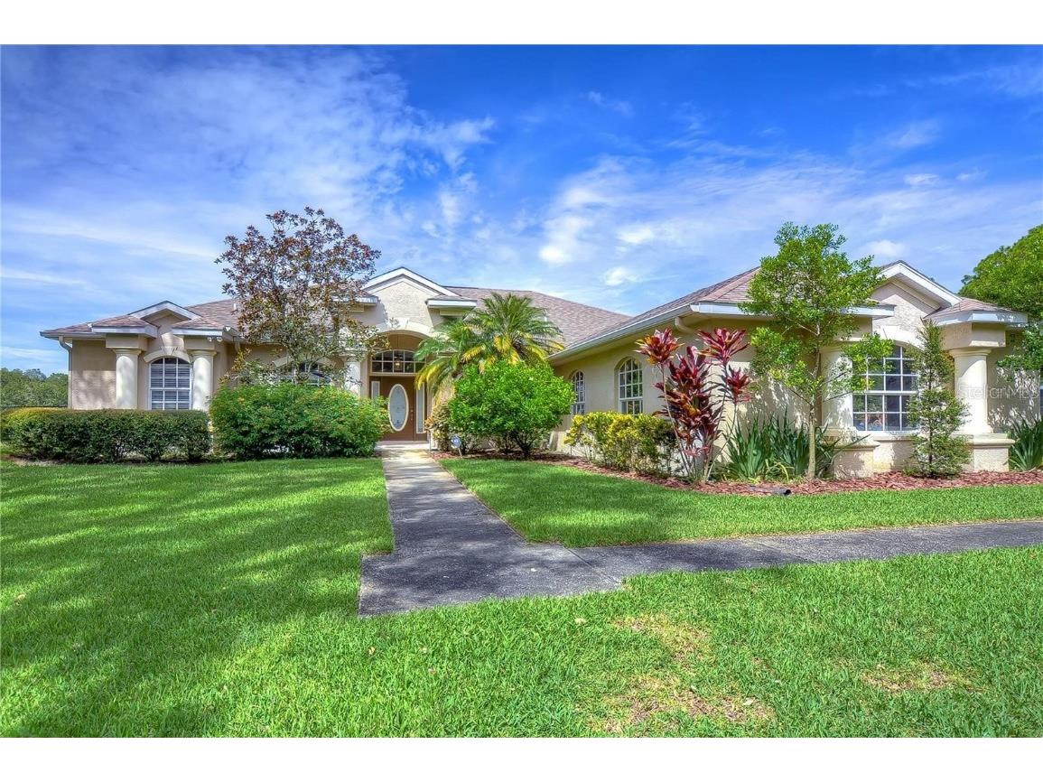 18918 Spring Hollow Drive Lutz FL 33559 T3459989 image1