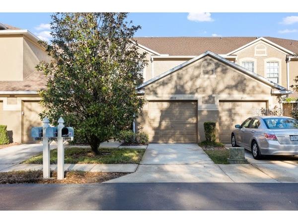 18919 Duquesne Drive Tampa FL 33647 TB8462186 image1