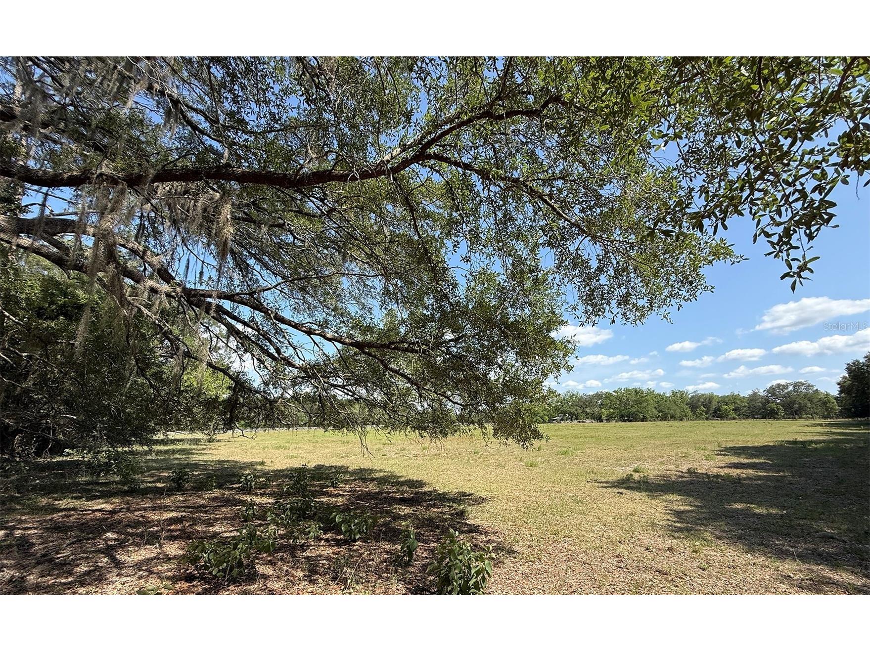 18919 NW 62nd Avenue Alachua FL 32615 GC539982 image1